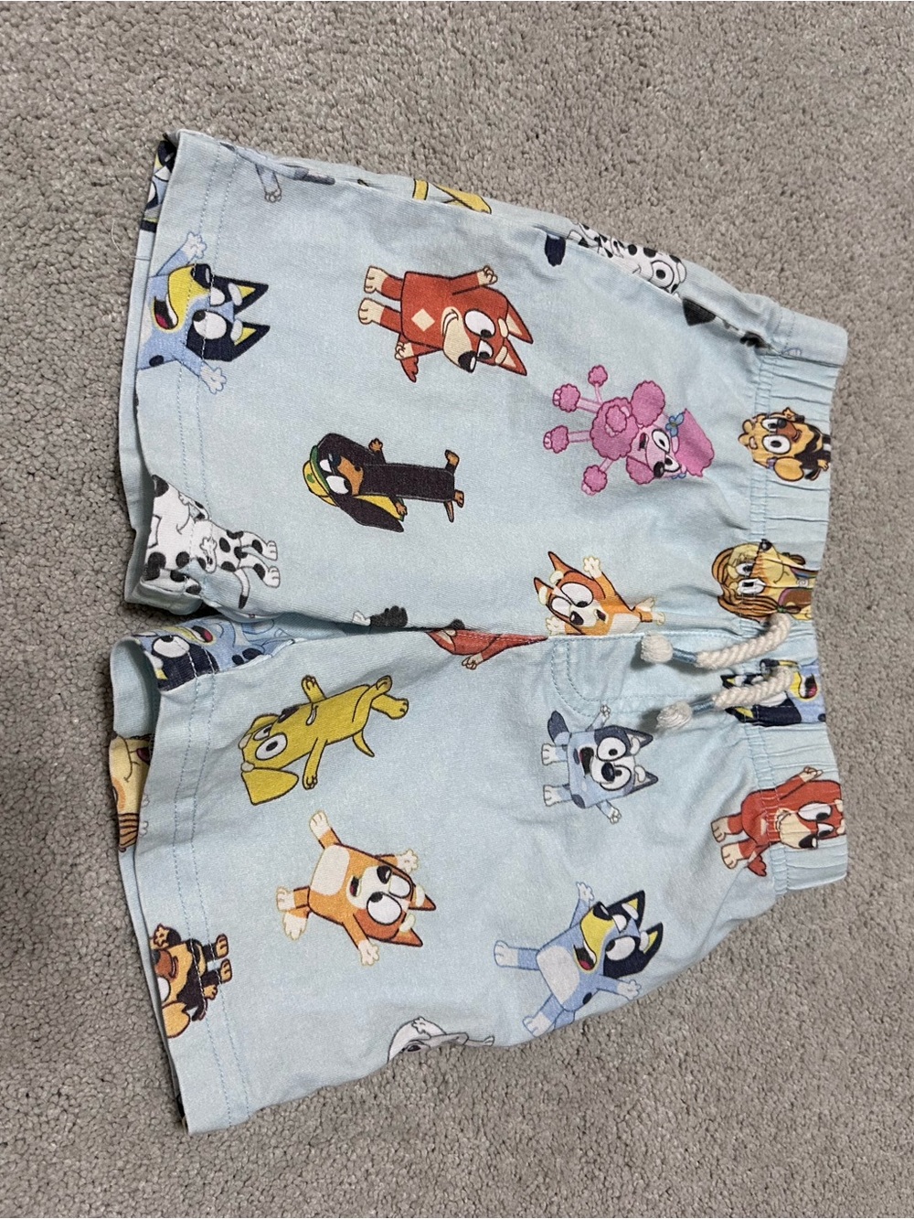 Light Blue Cartoon Puppy Print Kids Shorts